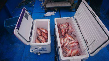 海龍丸（石川） 釣果