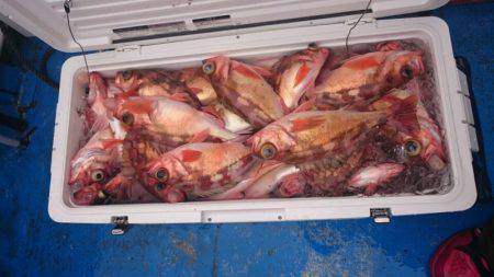 海龍丸（石川） 釣果