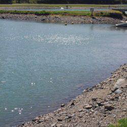 加賀フィッシングエリア 釣果