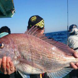 だて丸 釣果