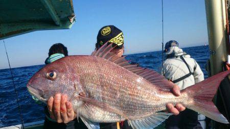 だて丸 釣果