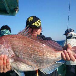 だて丸 釣果