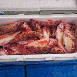 海龍丸（石川） 釣果