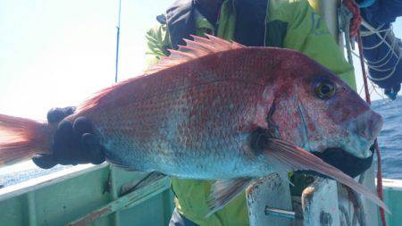 だて丸 釣果