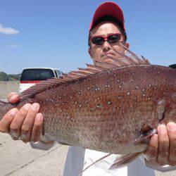 第三共栄丸 釣果