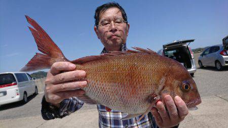 第三共栄丸 釣果