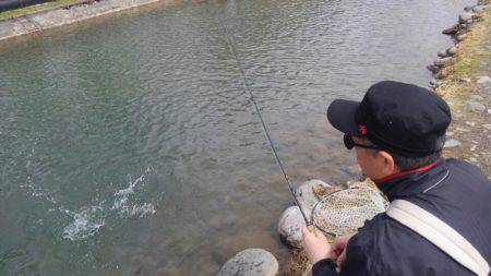 つりぼりあかし 釣果