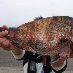 第三共栄丸 釣果