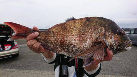 第三共栄丸 釣果