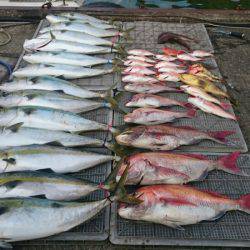 ARCADIAⅡ (アルカディアⅡ) 釣果