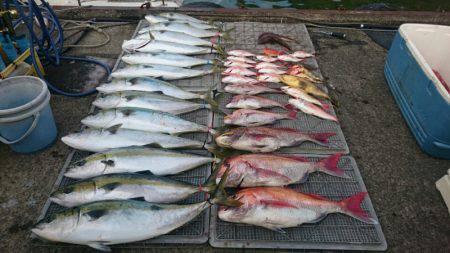 ARCADIAⅡ (アルカディアⅡ) 釣果