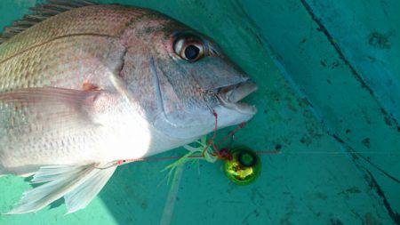 和栄丸 釣果
