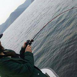 タイラバ遊漁船 ワンピース 釣果