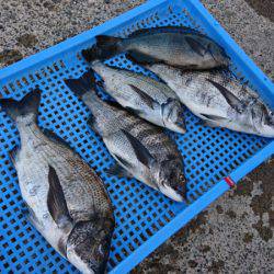 第三共栄丸 釣果