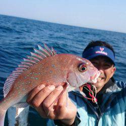 だて丸 釣果