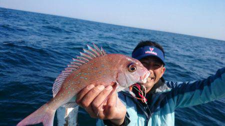 だて丸 釣果