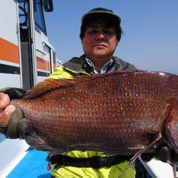 第三共栄丸 釣果