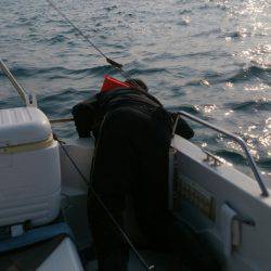 遊漁船 家入 釣果