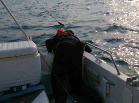 遊漁船 家入 釣果