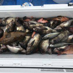 海龍丸（石川） 釣果