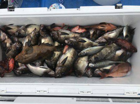 海龍丸（石川） 釣果