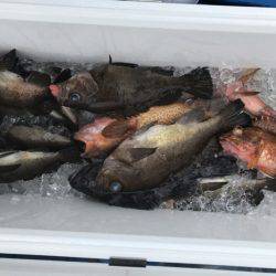 海龍丸（石川） 釣果