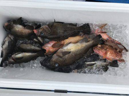 海龍丸（石川） 釣果