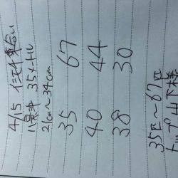 金沢八景鴨下丸 釣果