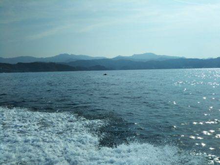 アマテラス 釣果