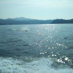 アマテラス 釣果