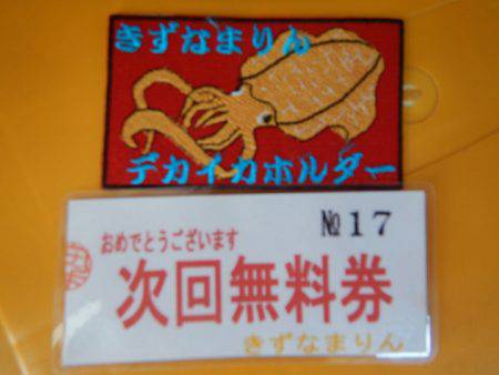 きずなまりん 釣果