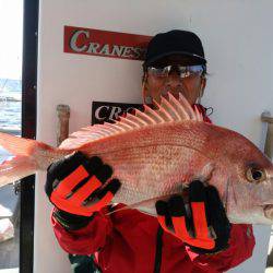ありもと丸 釣果