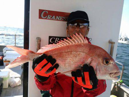 ありもと丸 釣果
