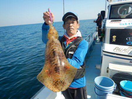 きずなまりん 釣果