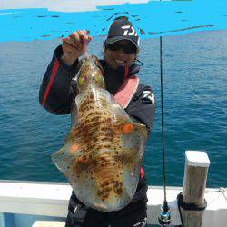 きずなまりん 釣果