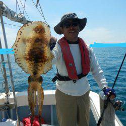 きずなまりん 釣果