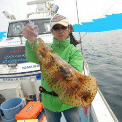 きずなまりん 釣果