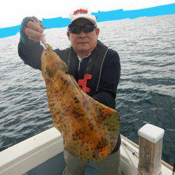 きずなまりん 釣果