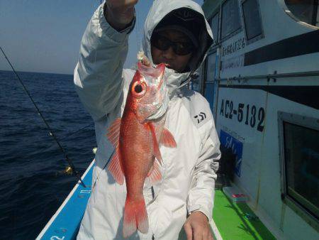 丸万釣船 釣果