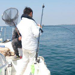 遊漁船 家入 釣果