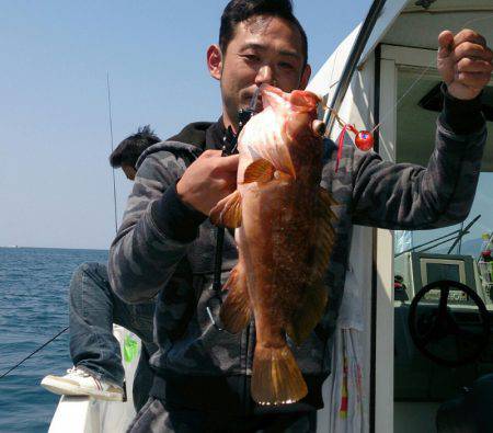 遊漁船 家入 釣果