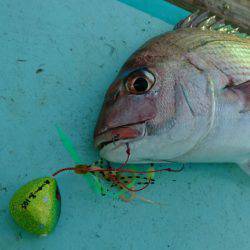 和栄丸 釣果