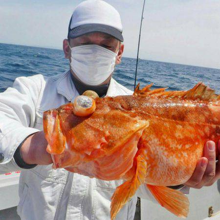 ブルースフィッシングサービス 釣果