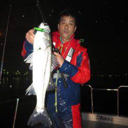 Chase（チェイス） 釣果