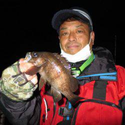 Chase（チェイス） 釣果