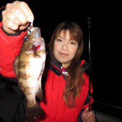 Chase（チェイス） 釣果