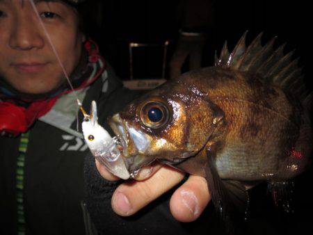 Chase（チェイス） 釣果