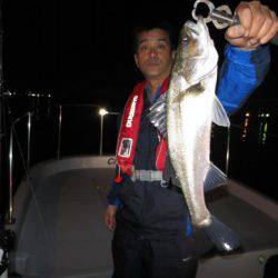 Chase（チェイス） 釣果