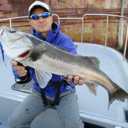 Chase（チェイス） 釣果