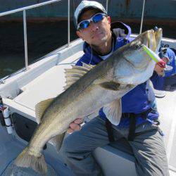 Chase（チェイス） 釣果